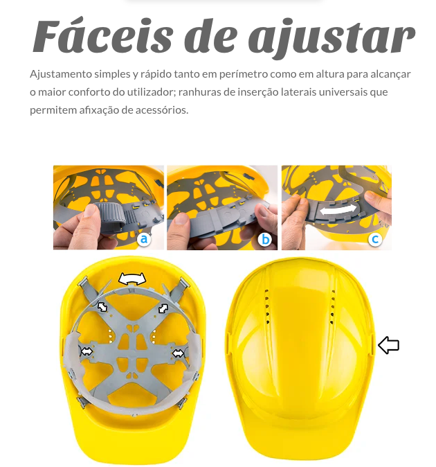 DELFI PRO GUARDIAN-H