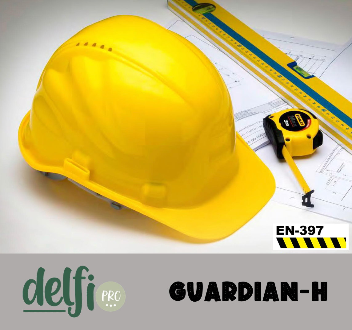 DELFI PRO GUARDIAN-H