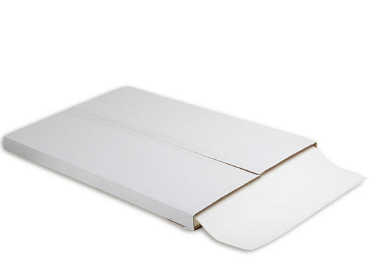DELFI PRO PVRS (500fls)
